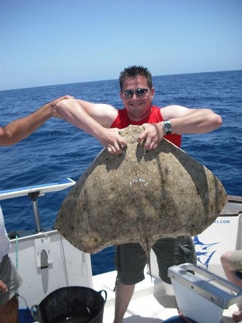 butterfly ray Cavalier & Blue Marlin Sport Fishing Gran Canaria