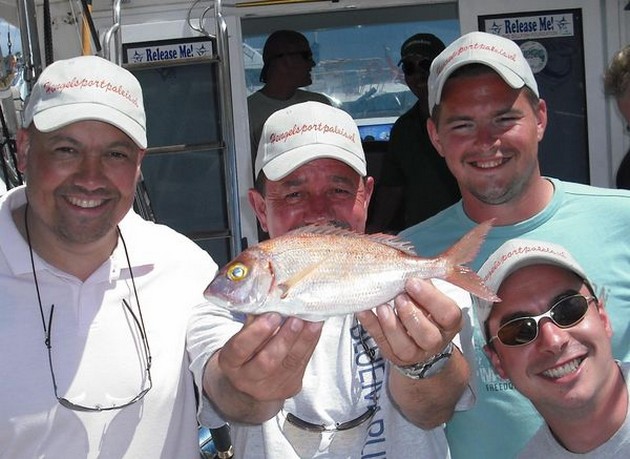 world record ? Cavalier & Blue Marlin Sport Fishing Gran Canaria