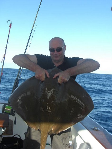 common stingray Cavalier & Blue Marlin Sport Fishing Gran Canaria