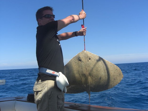 butterfly ray Cavalier & Blue Marlin Sport Fishing Gran Canaria