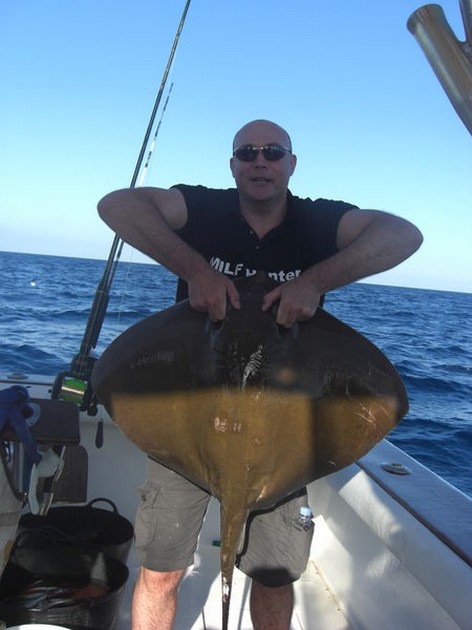 common stingray Cavalier & Blue Marlin Sport Fishing Gran Canaria