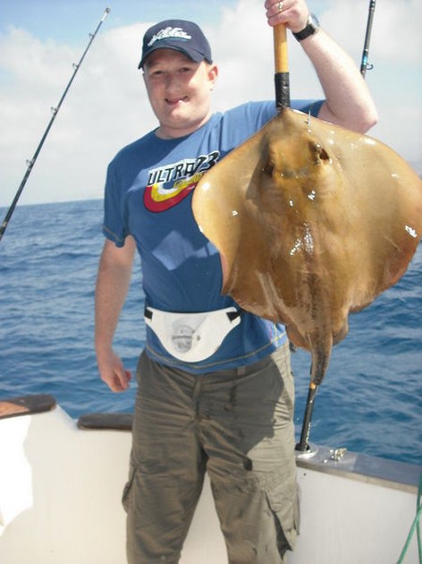 common stingray Cavalier & Blue Marlin Sport Fishing Gran Canaria