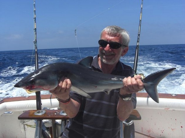 mako shark Cavalier & Blue Marlin Sport Fishing Gran Canaria