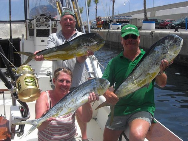dorado's Cavalier & Blue Marlin Sport Fishing Gran Canaria