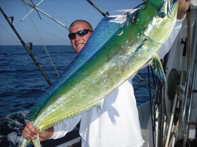 30/05 dorado Cavalier & Blue Marlin Sport Fishing Gran Canaria