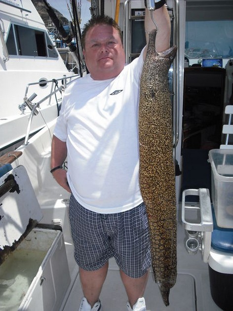 spotted moray Cavalier & Blue Marlin Sport Fishing Gran Canaria