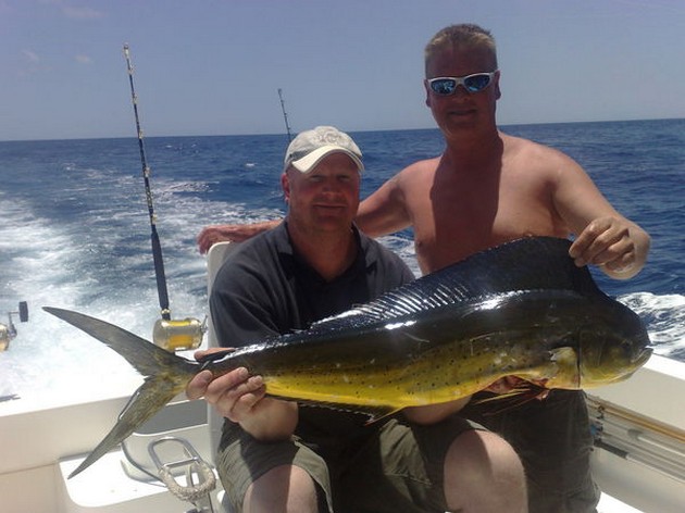 dorado Cavalier & Blue Marlin Sport Fishing Gran Canaria