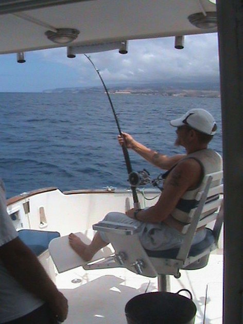 hook up Cavalier & Blue Marlin Sport Fishing Gran Canaria