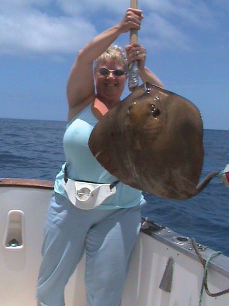 common stingray Cavalier & Blue Marlin Sport Fishing Gran Canaria