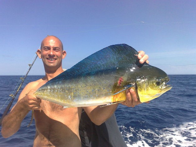 dorado Cavalier & Blue Marlin Sport Fishing Gran Canaria