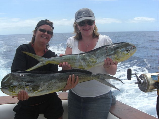 05/06 dorado's Cavalier & Blue Marlin Sport Fishing Gran Canaria
