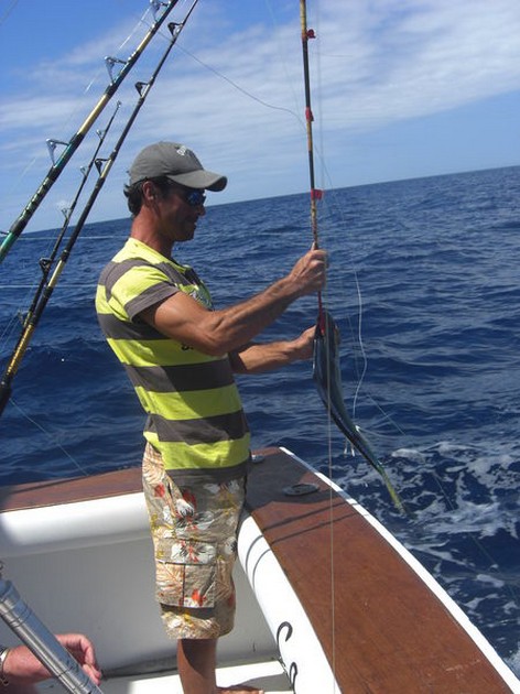 JOVI HOOKED UP Gestern, Sonntag 07/06, hat es - Cavalier & Blue Marlin Sport Fishing Gran Canaria