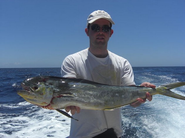 10/06 dorado Cavalier & Blue Marlin Sport Fishing Gran Canaria