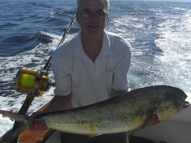 dorado Cavalier & Blue Marlin Sport Fishing Gran Canaria