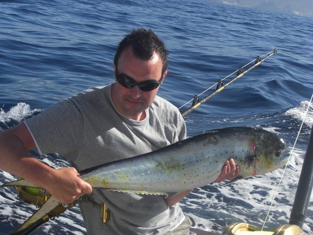 dorado Cavalier & Blue Marlin Sport Fishing Gran Canaria