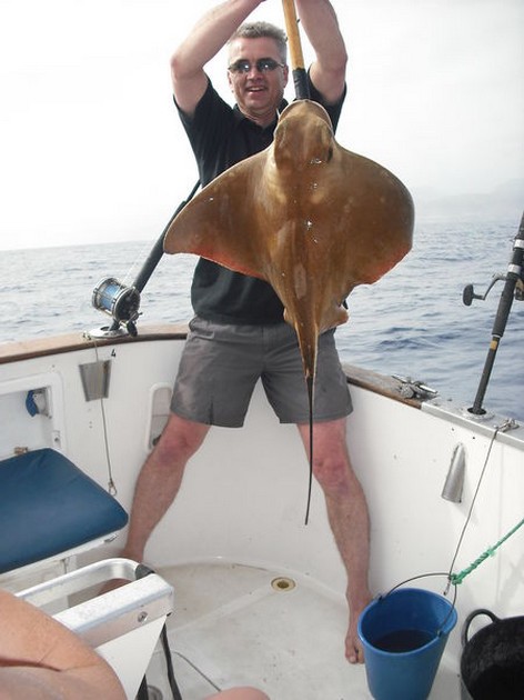 eagle ray Cavalier & Blue Marlin Sport Fishing Gran Canaria