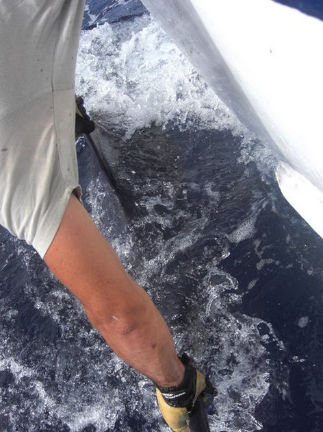 release me Cavalier & Blue Marlin Sport Fishing Gran Canaria