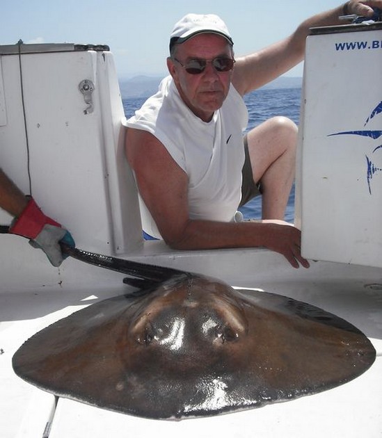 roughtail stingray Cavalier & Blue Marlin Sport Fishing Gran Canaria