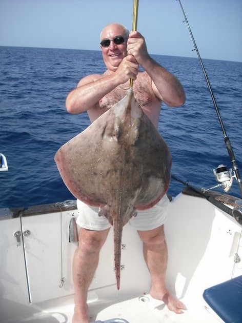 bottle nosed skate Cavalier & Blue Marlin Sport Fishing Gran Canaria