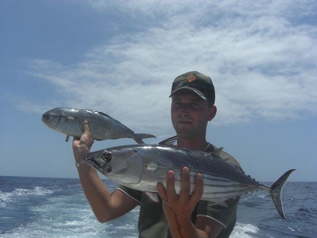 dorado - skipjack Cavalier & Blue Marlin Sport Fishing Gran Canaria