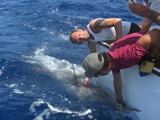 720 lbs blue marlin Cavalier & Blue Marlin Sport Fishing Gran Canaria
