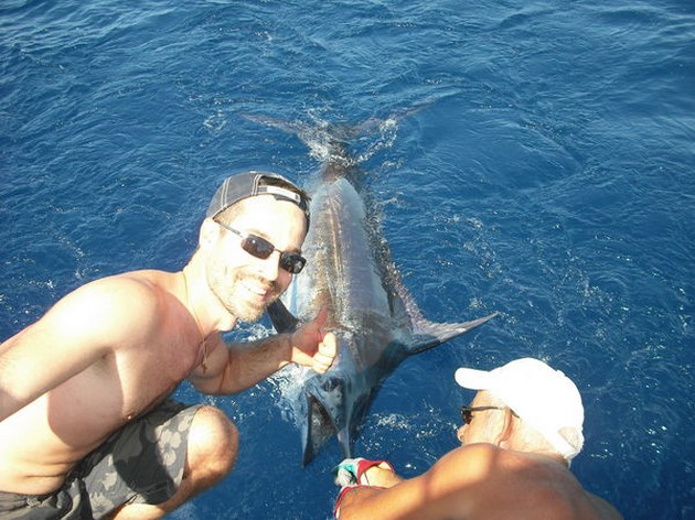 19/06 blue marlin Cavalier & Blue Marlin Sport Fishing Gran Canaria