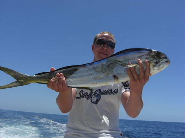 dorado Cavalier & Blue Marlin Sport Fishing Gran Canaria