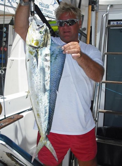 22/06 dorado Cavalier & Blue Marlin Sport Fishing Gran Canaria