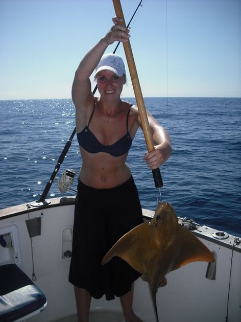 eagle ray Cavalier & Blue Marlin Sport Fishing Gran Canaria