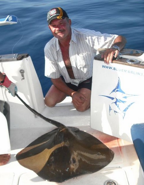 common stingray Cavalier & Blue Marlin Sport Fishing Gran Canaria