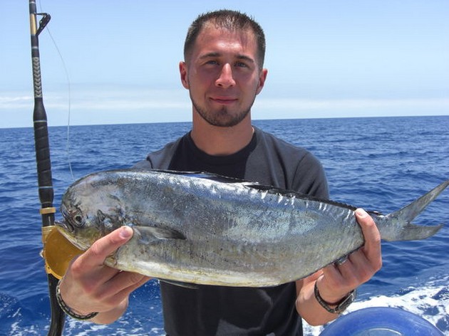 dorado Cavalier & Blue Marlin Sport Fishing Gran Canaria