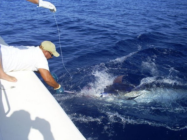 27/06 tag & release Cavalier & Blue Marlin Sport Fishing Gran Canaria