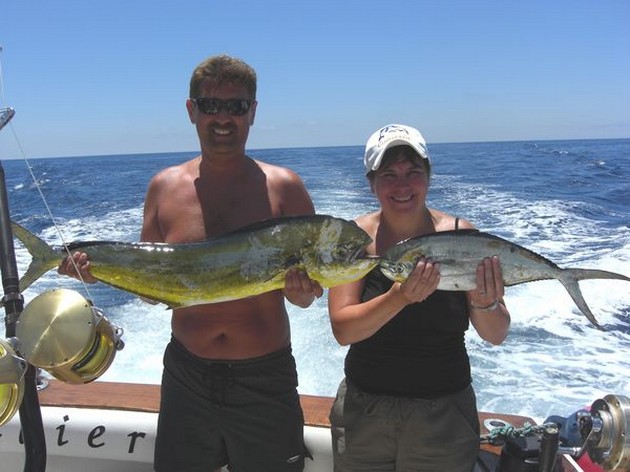 29/06 dorado's Cavalier & Blue Marlin Sport Fishing Gran Canaria