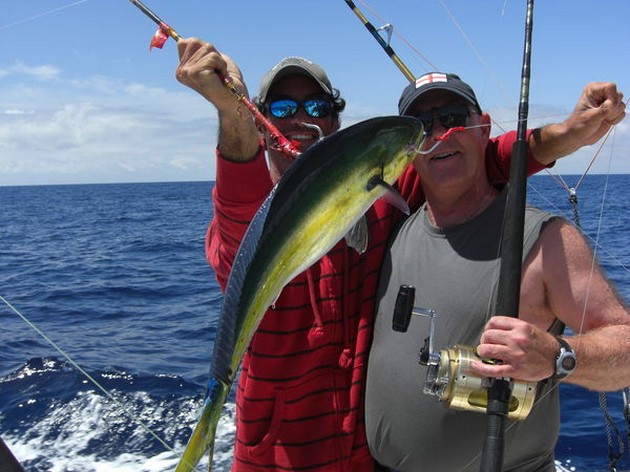 dorado Cavalier & Blue Marlin Sport Fishing Gran Canaria