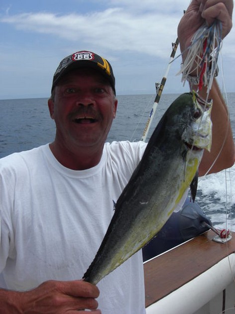 dorado Cavalier & Blue Marlin Sport Fishing Gran Canaria