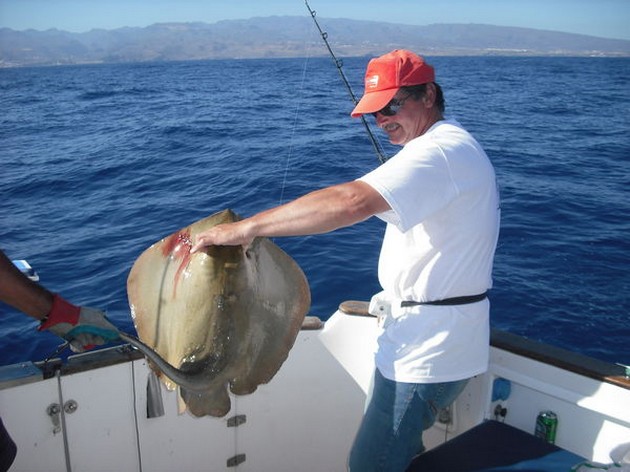 STINGRAYS and SKIPJACKS<br><br>The last two days, the boats - Cavalier & Blue Marlin Sport Fishing Gran Canaria