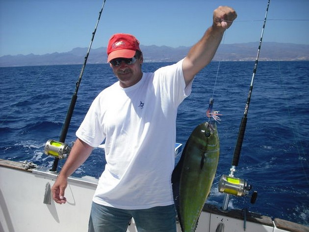 dorado Cavalier & Blue Marlin Sport Fishing Gran Canaria