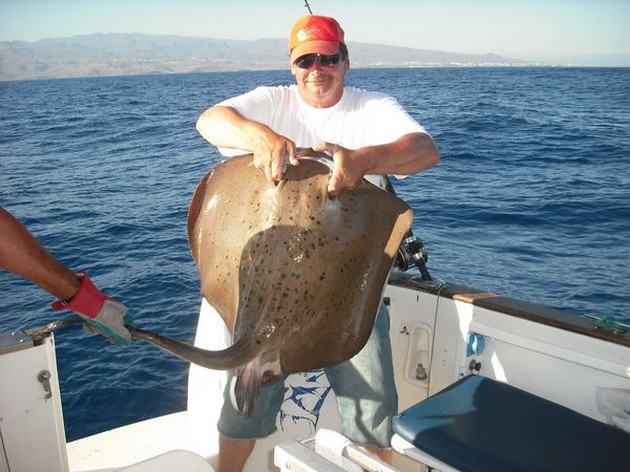 roughtail stingray Cavalier & Blue Marlin Sport Fishing Gran Canaria