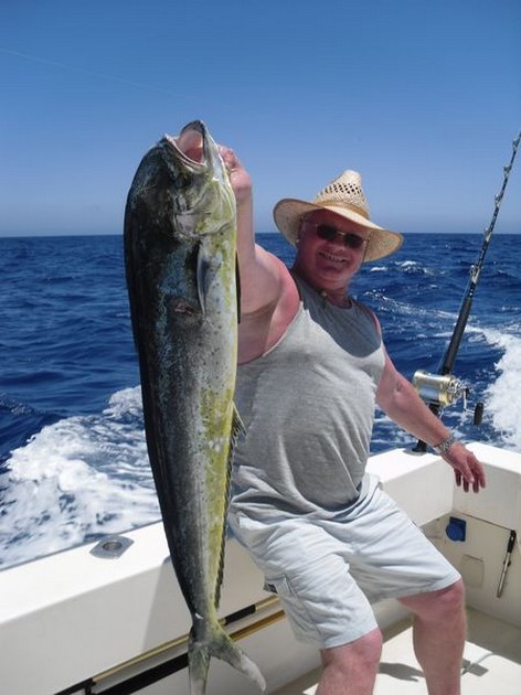 dorado Cavalier & Blue Marlin Sport Fishing Gran Canaria