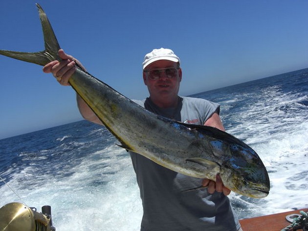 dorado Cavalier & Blue Marlin Sport Fishing Gran Canaria