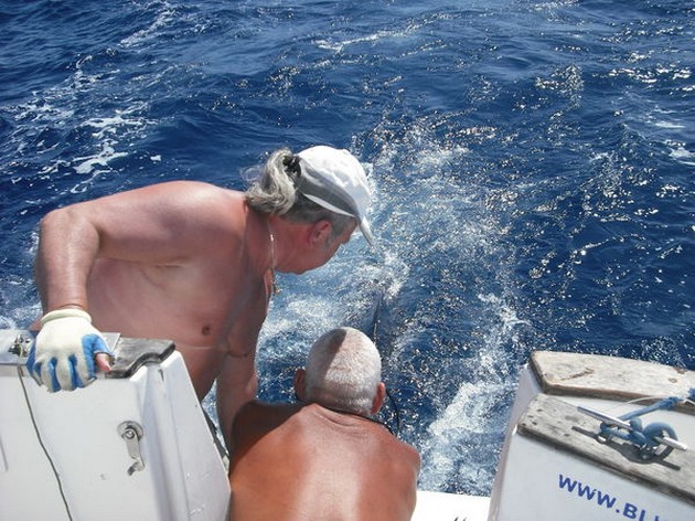  - Cavalier & Blue Marlin Sport Fishing Gran Canaria