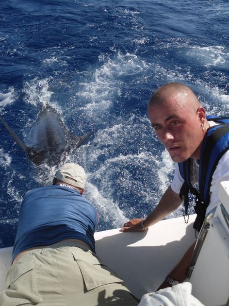 90 kg blue marlin Cavalier & Blue Marlin Sport Fishing Gran Canaria
