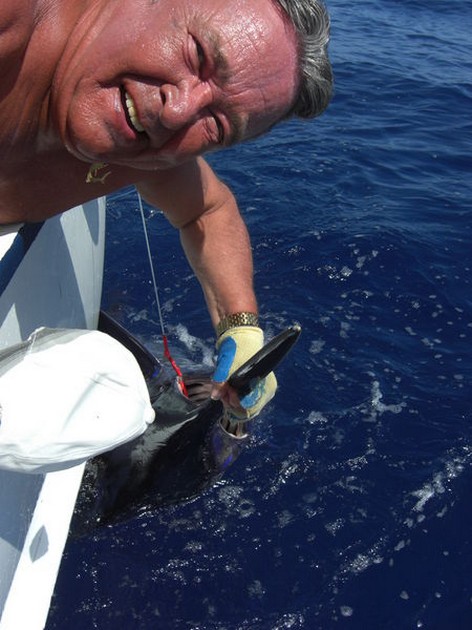 please release me Cavalier & Blue Marlin Sport Fishing Gran Canaria