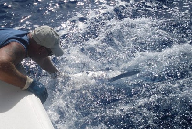 OPNIEUW JAMES RASMUSSEN<br><br>Het was werd vandaag opnieuw - Cavalier & Blue Marlin Sport Fishing Gran Canaria