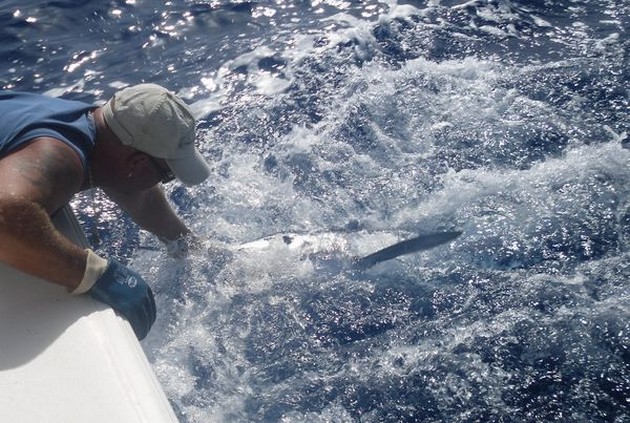  - Cavalier & Blue Marlin Sport Fishing Gran Canaria