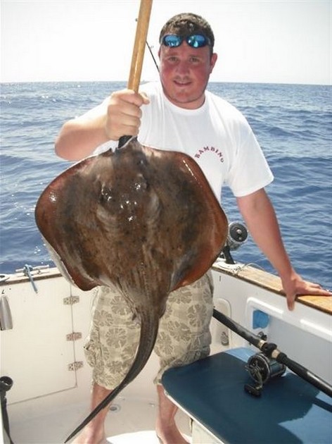 roughtail stingray Cavalier & Blue Marlin Sport Fishing Gran Canaria