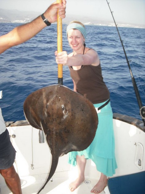 roughtail stingray Cavalier & Blue Marlin Sport Fishing Gran Canaria