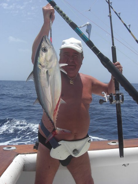 skipjack tuna Cavalier & Blue Marlin Sport Fishing Gran Canaria