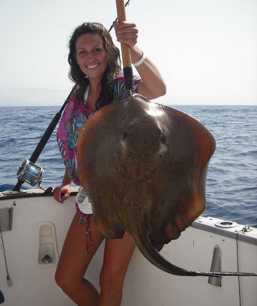 roughtail stingray Cavalier & Blue Marlin Sport Fishing Gran Canaria