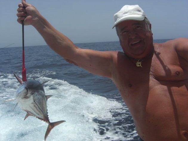 HOOK UPS 7 BLUE MARLINS<br><br>Only today, the three boats - Cavalier & Blue Marlin Sport Fishing Gran Canaria